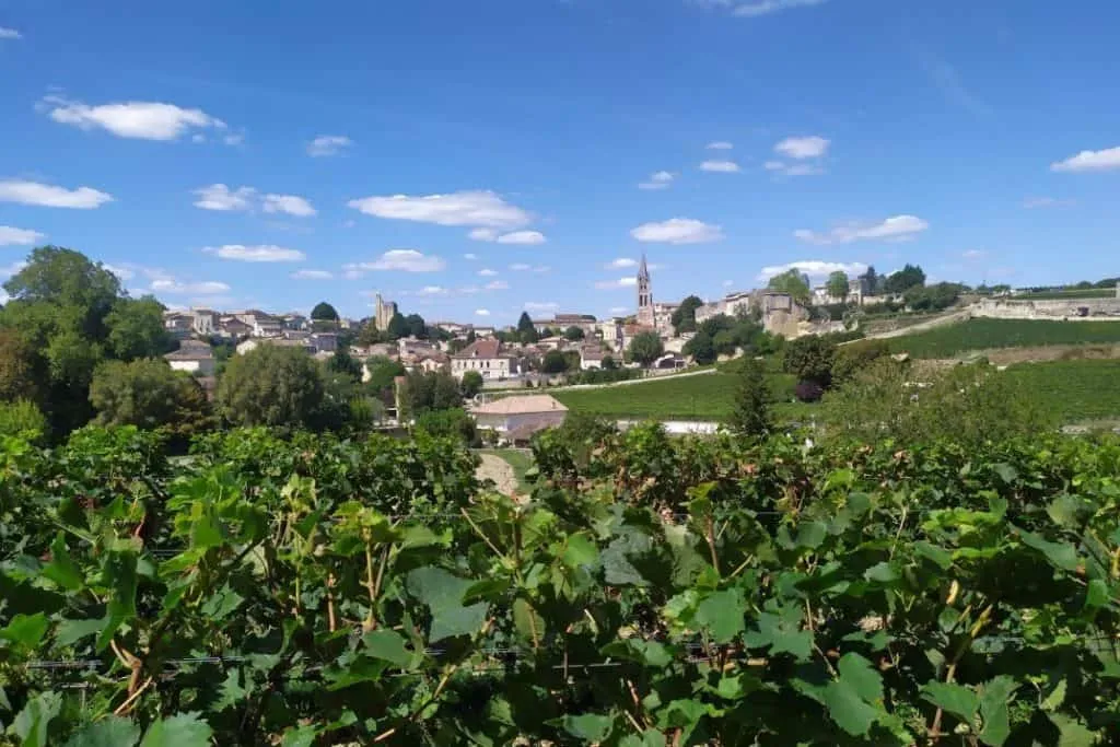 french wine bike tour