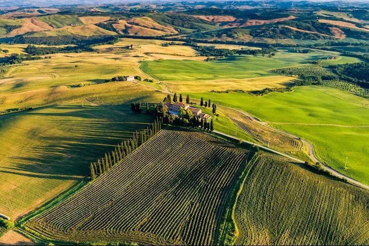 antinori tignanello winery tour