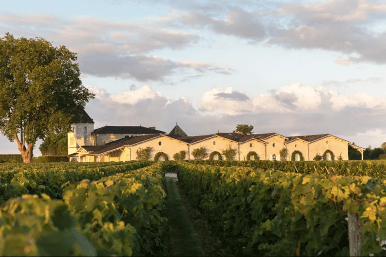 vineyard tours and stays