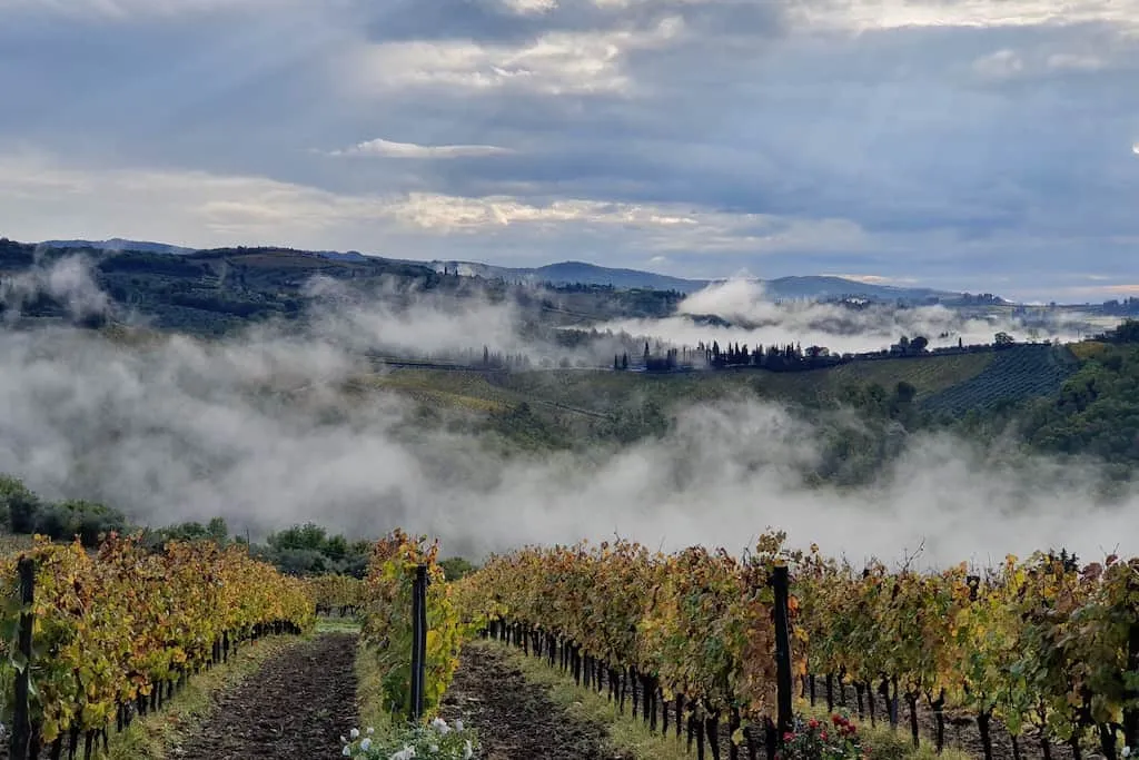 antinori tignanello winery tour