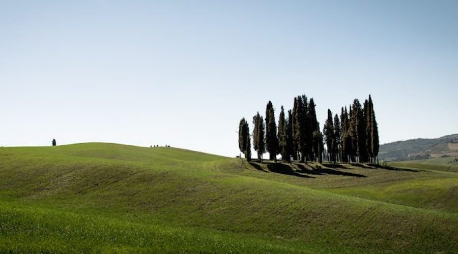 Castiglion del Bosco