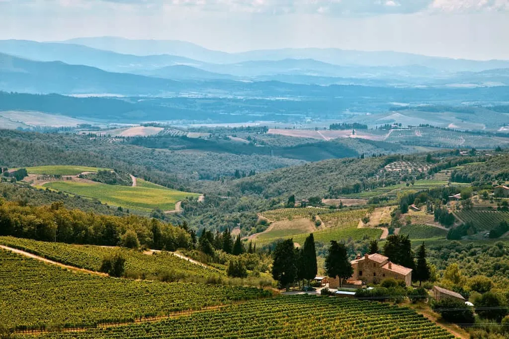 castello di ama wine tour