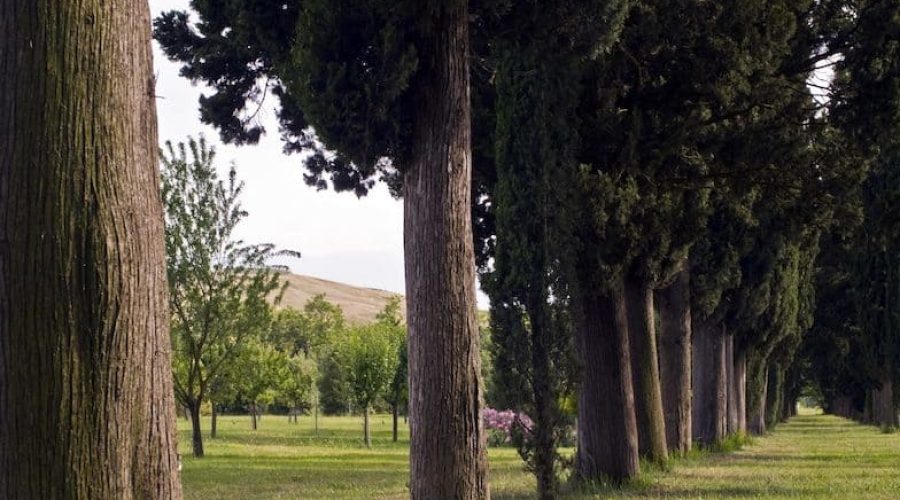 Col D'Orcia
