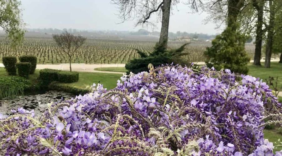 Bordeaux in April – Winery Visits and Other Things to Do