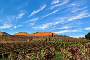 douro valley tour by car