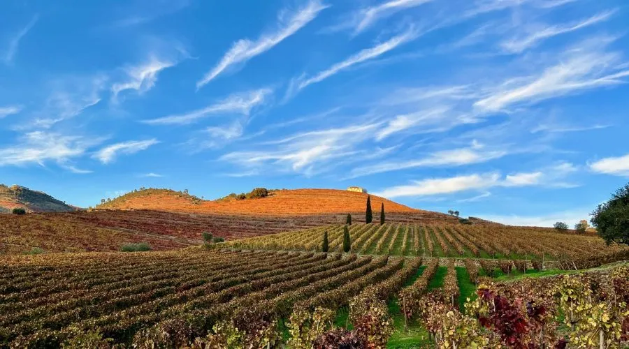 Quinta da Roeda
