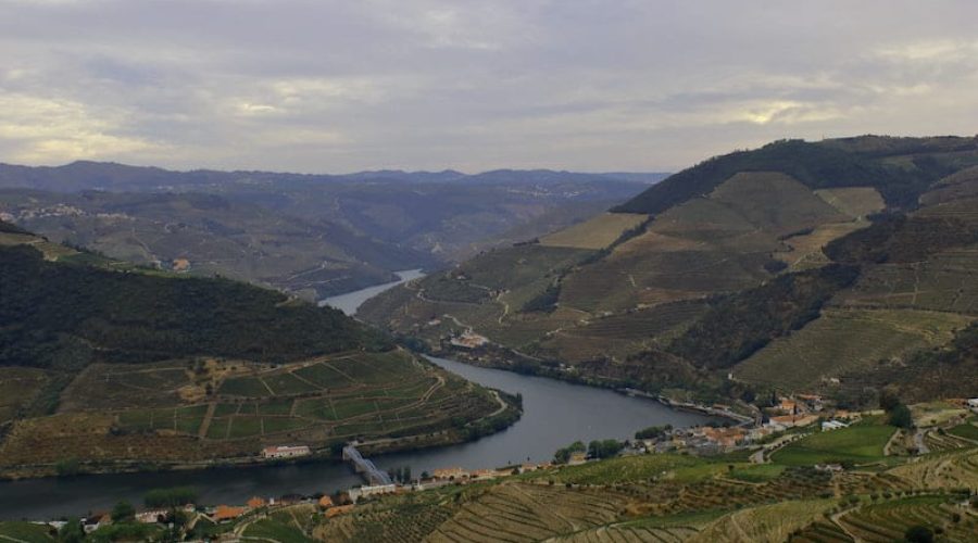 Quinta do Panascal