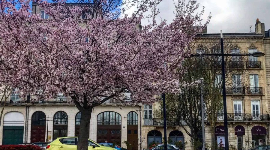 Bordeaux in March – Winery Visits and Other Things to Do