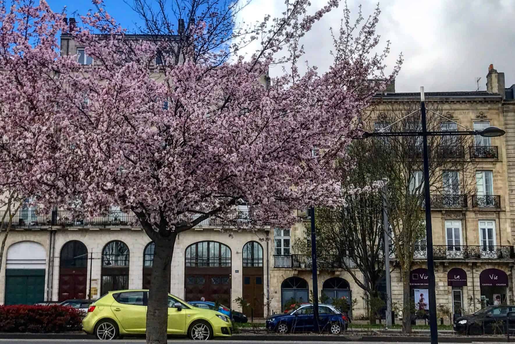 Visit Bordeaux in March