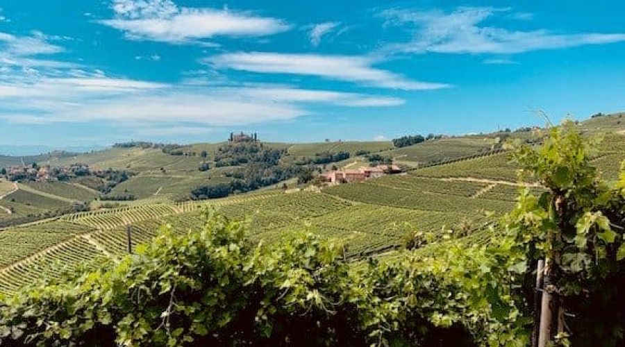 Cascina Boschetti Gomba