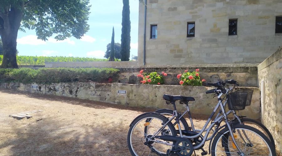 How to Explore Bordeaux Vineyards by Bike