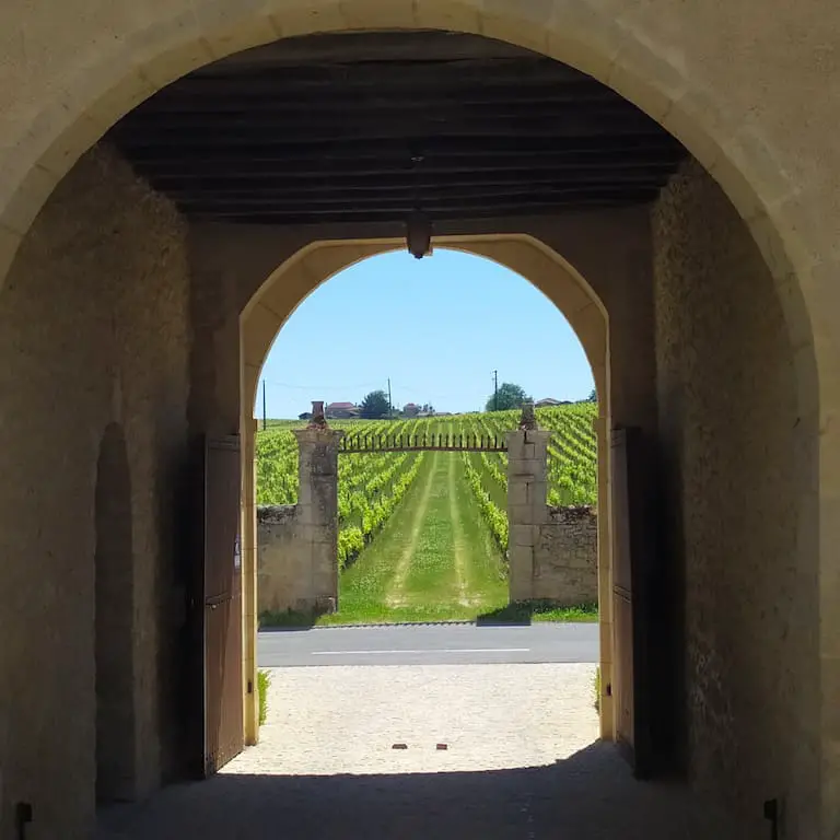 Sauternes Wine Tour