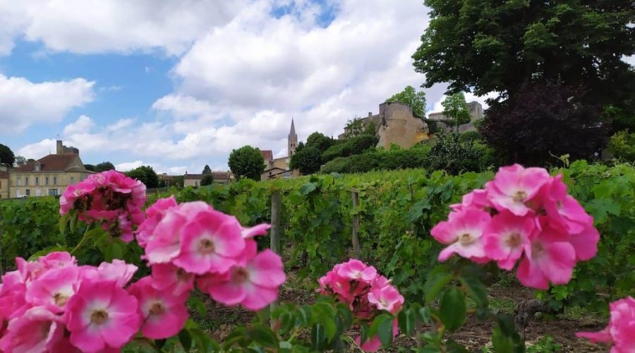Bordeaux in June – Winery Visits and Other Things to Do