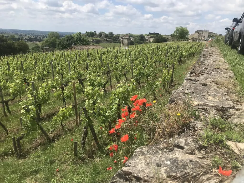 Bordeaux in May