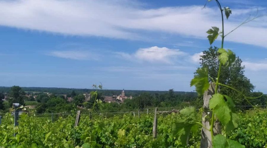 Bordeaux in May – Winery Visits and Other Things to Do