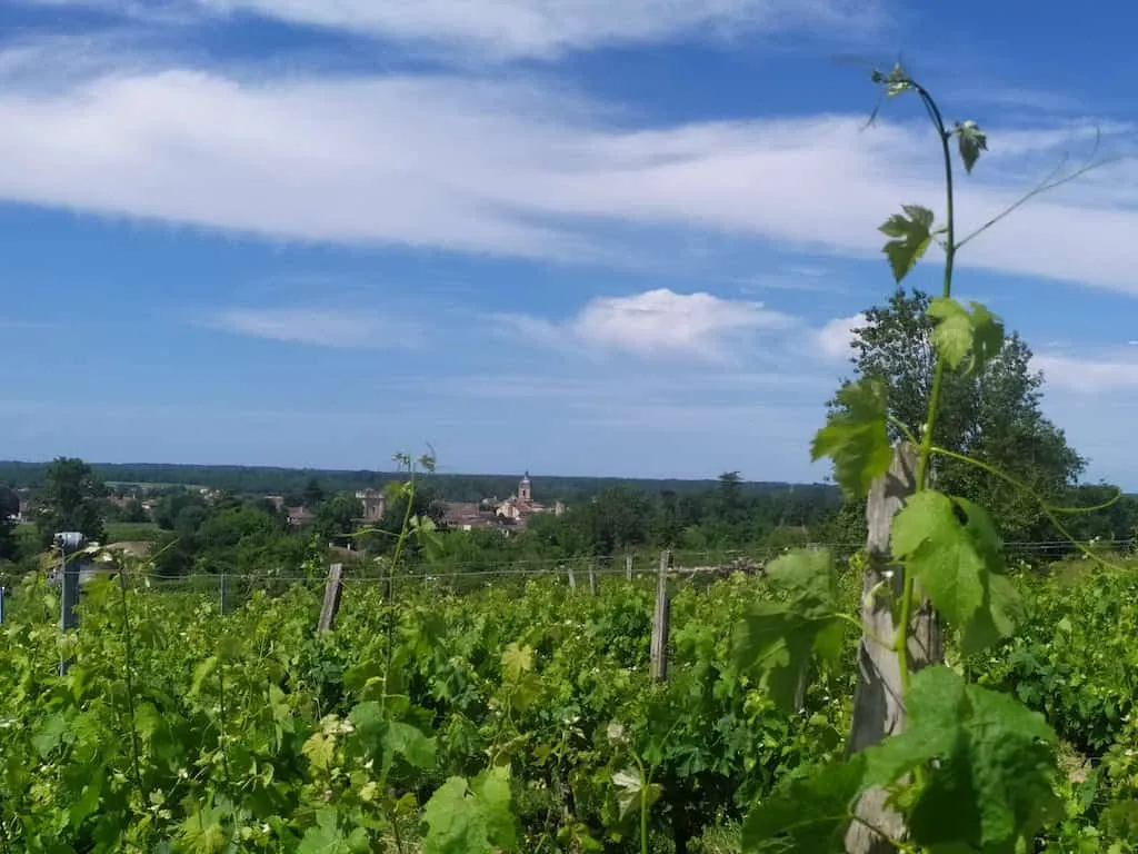 Saint Emilion in May