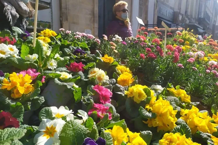 Farmers' markets near Bordeaux