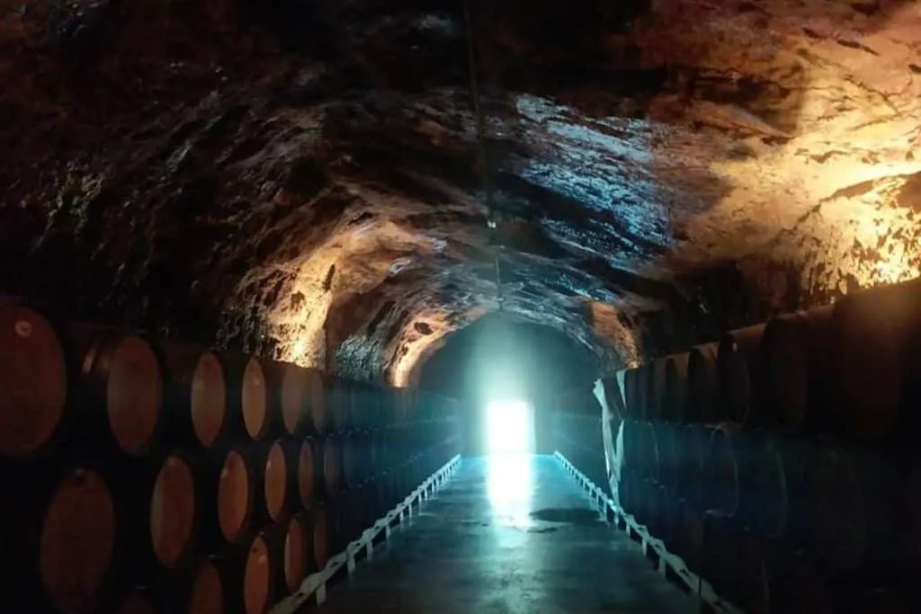 best winery tours in rioja