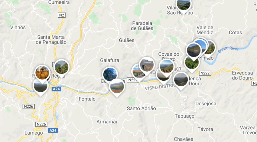 Map of Douro Valley Wineries