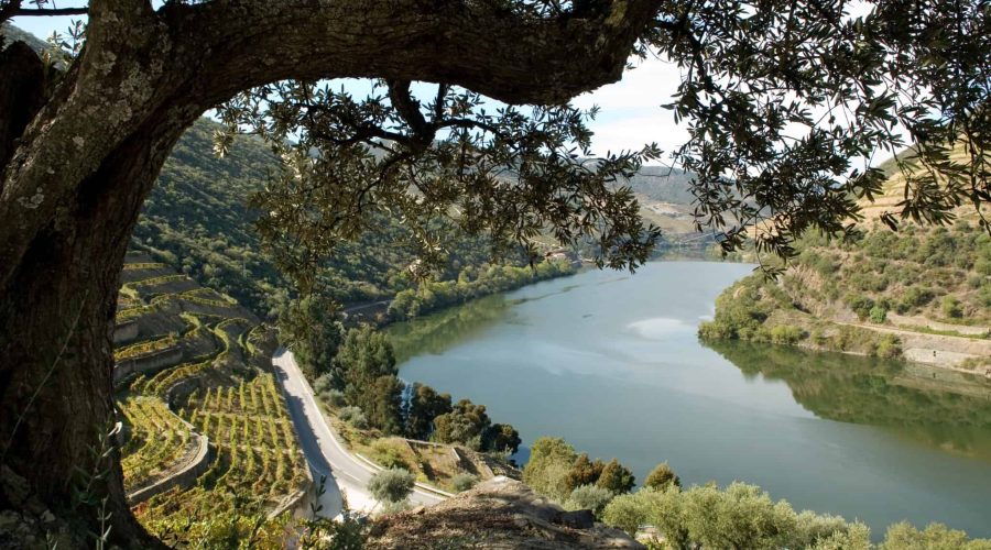Quinta do Pego