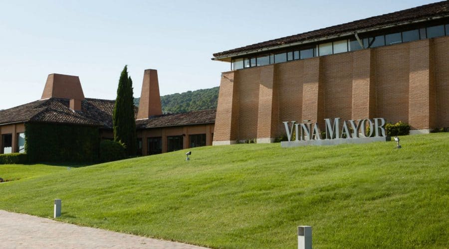 Viña Mayor