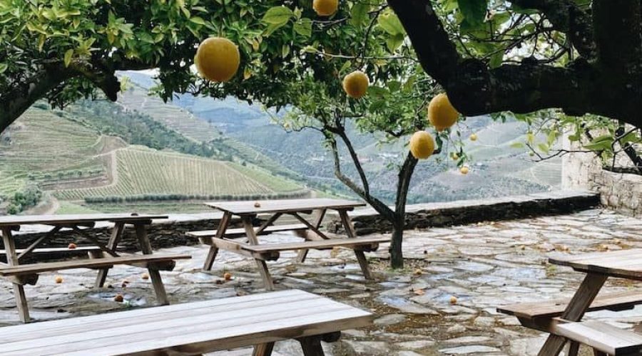 Quinta da Gricha