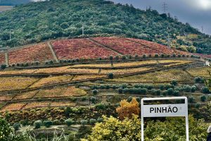 douro valley tour by car