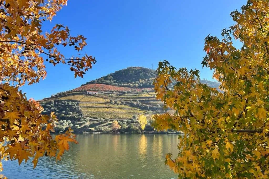 douro valley without tour