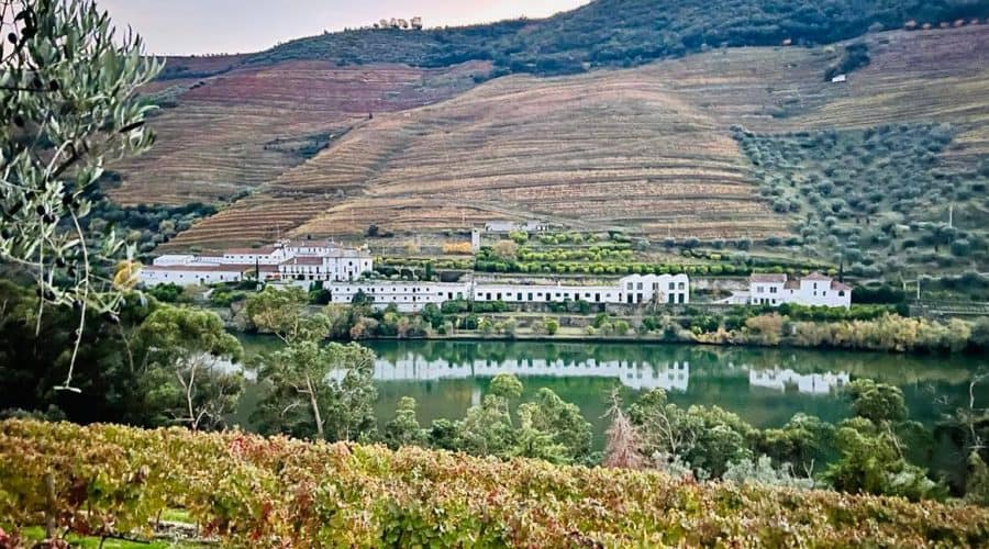Quinta das Carvalhas