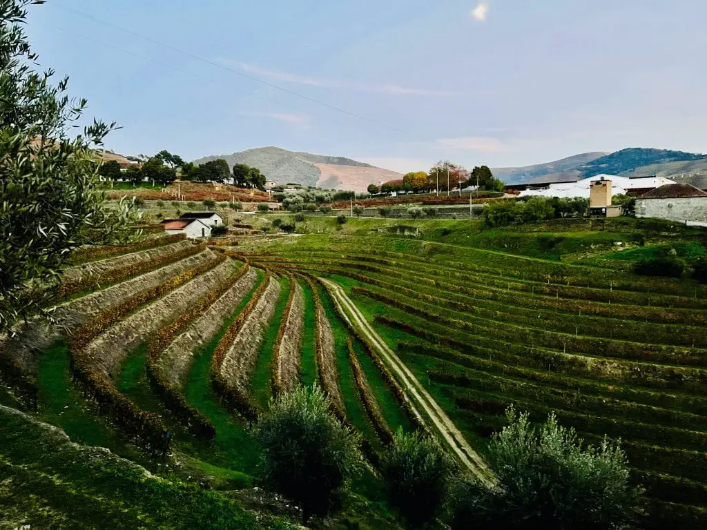 douro valley tour from lisbon