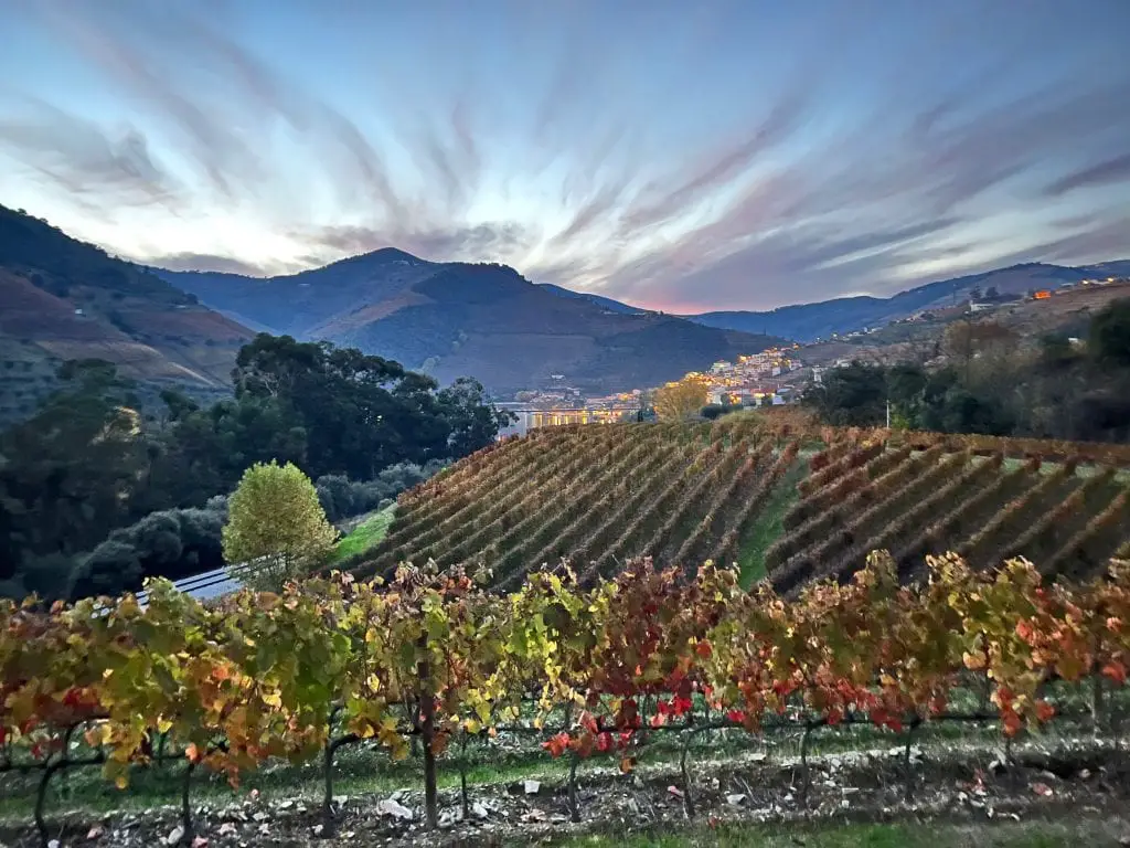 douro valley tour from lisbon