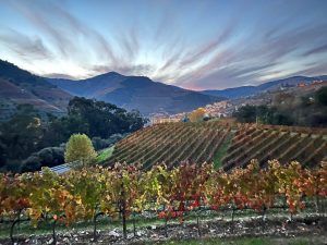 douro valley tour by car