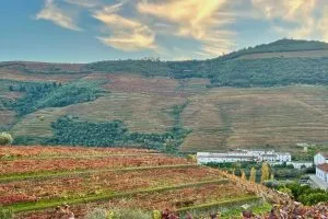 douro valley tour by car