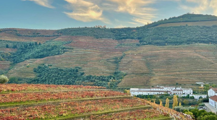 Which Are the Main Towns for Wine Tasting in the Douro Valley?