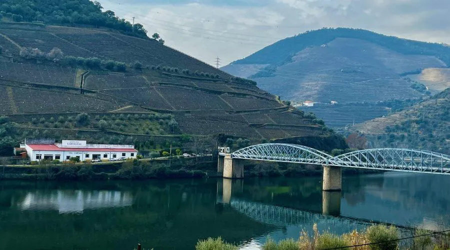 Douro Valley Wine Tours from Pinhao and Regua