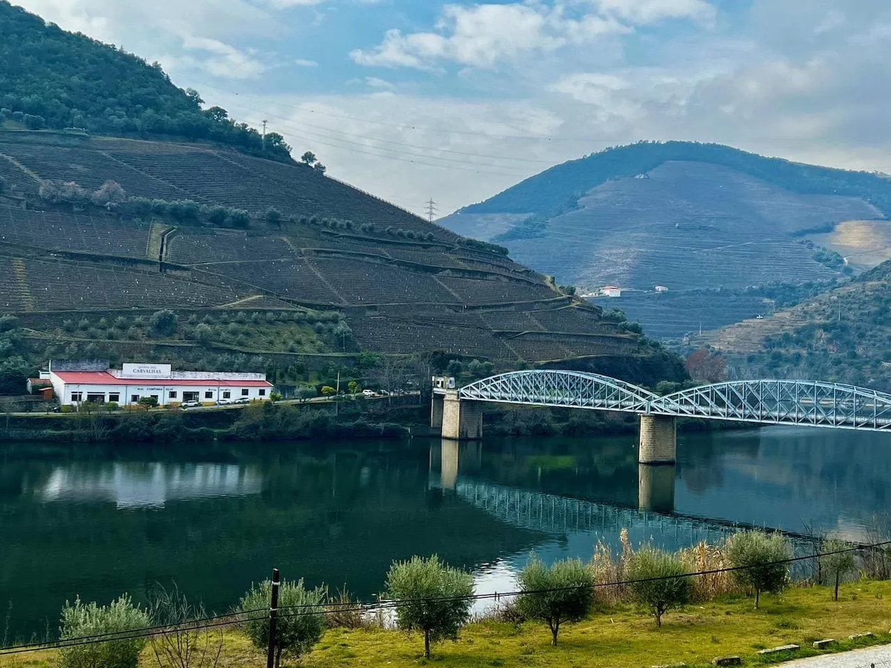 train tour douro valley