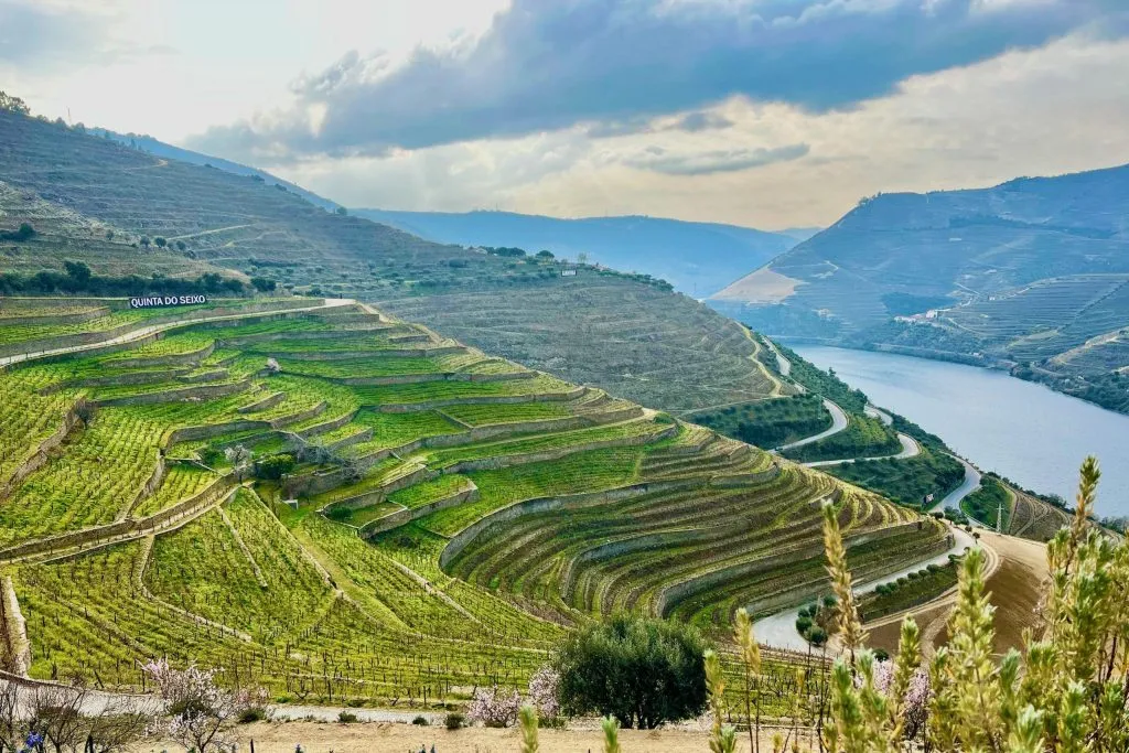 5 Of The Best Wineries In Douro Valley Portugal You Should Visit