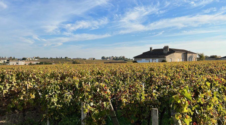 Chateau Guadet
