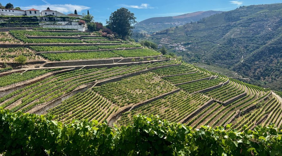 Where to Have a Picnic in the Douro Valley?