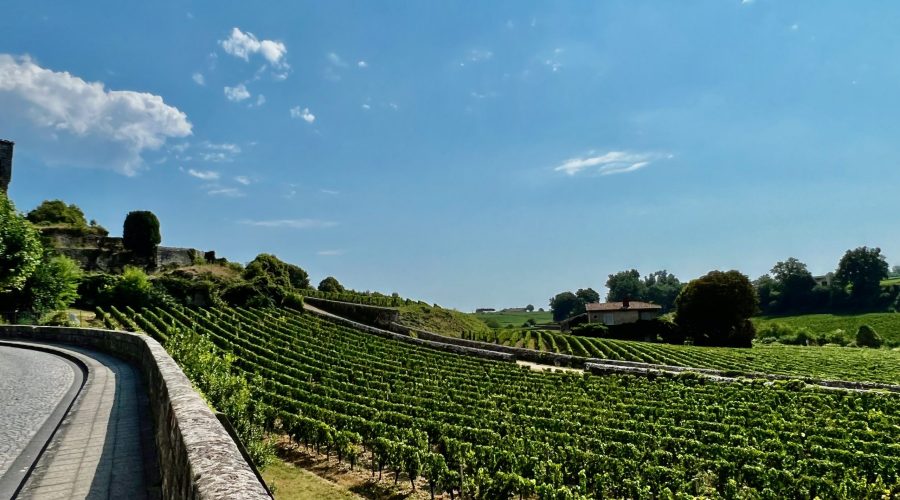 Do You Need a Car in Saint-Emilion, France?