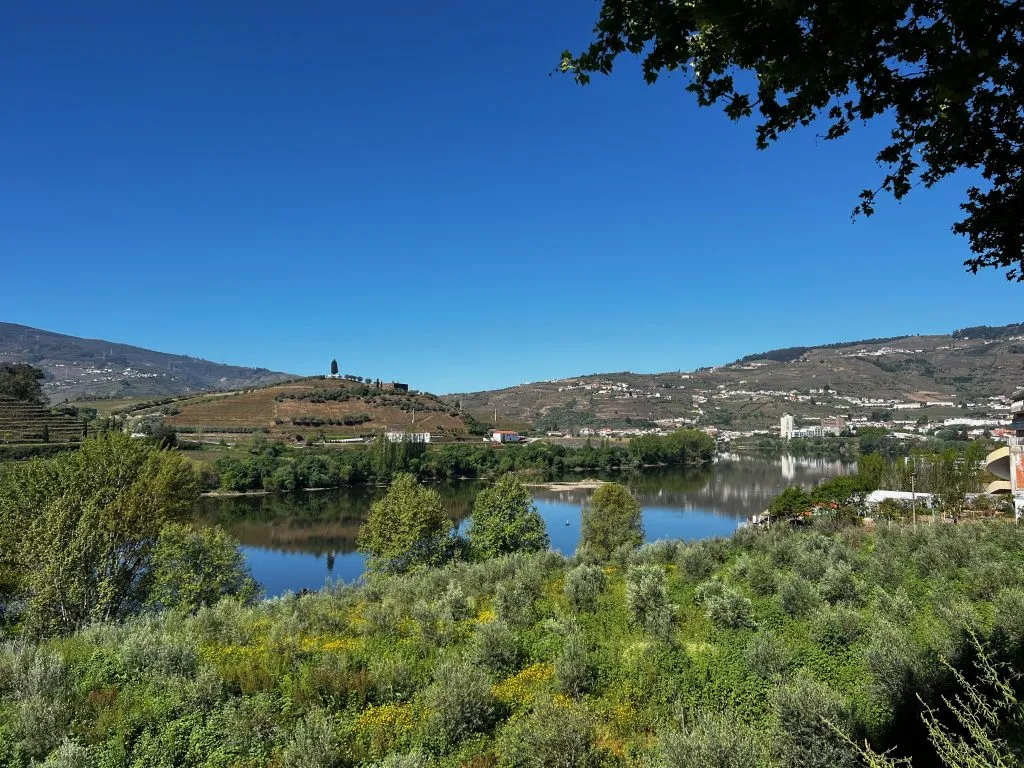 douro wine tour by train