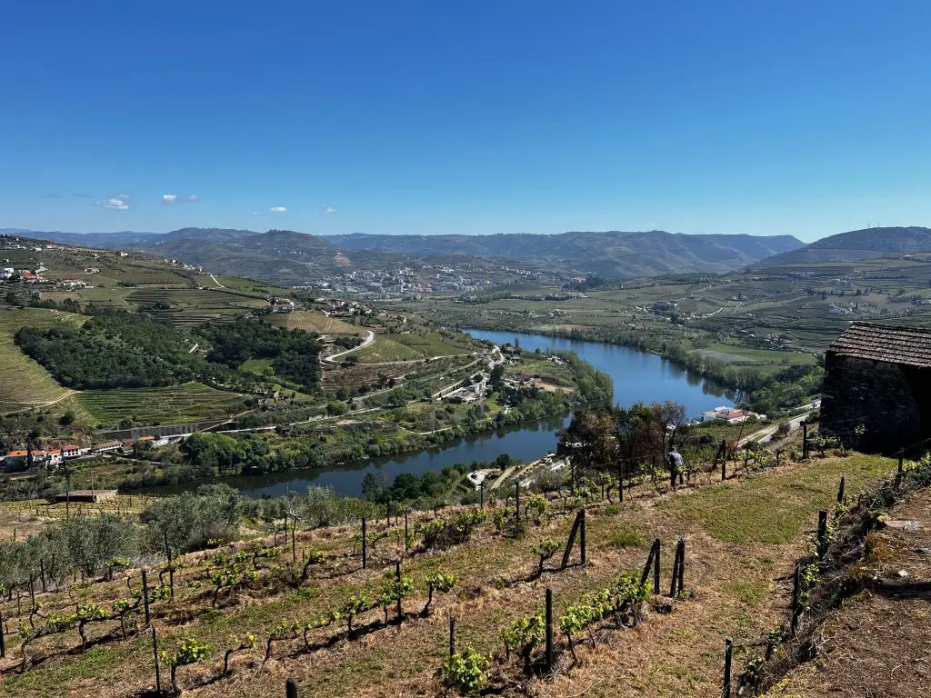 douro wine tour by train