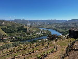 douro valley tour by car