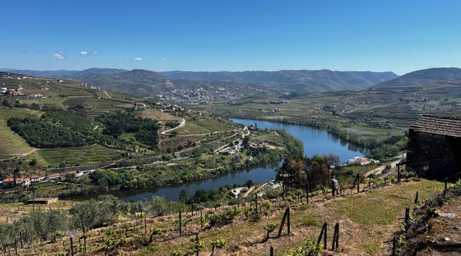 Is a Day Trip to Douro Valley Worth It?