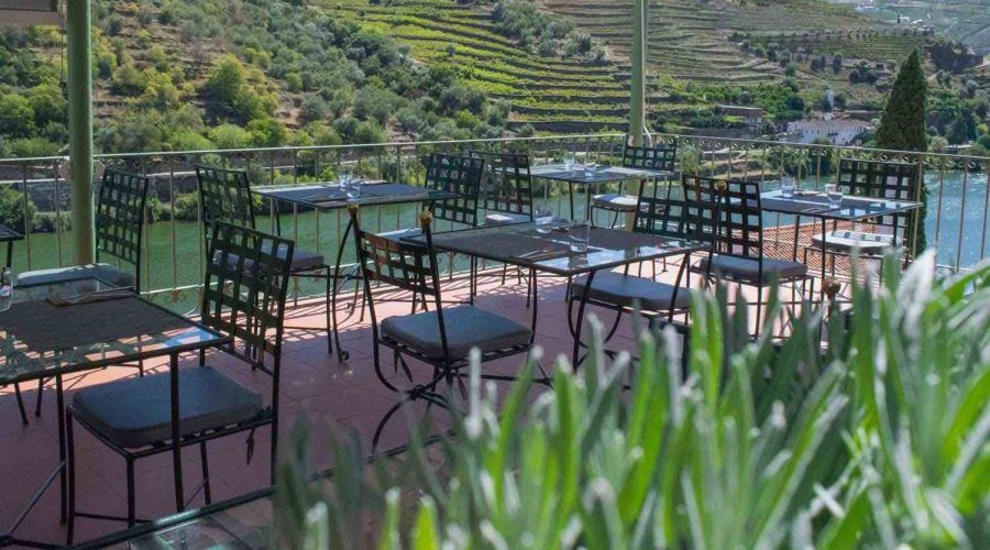 Tim's Terrace