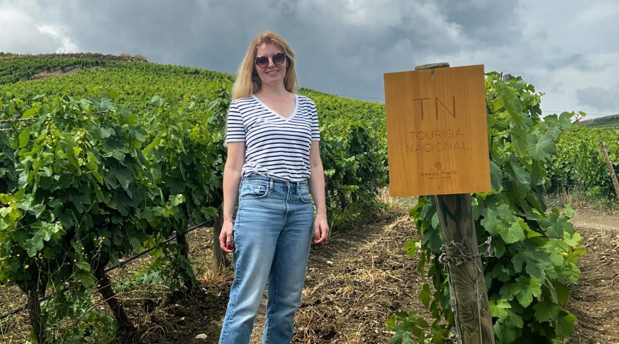 Self-guided Douro Valley Wine Tour