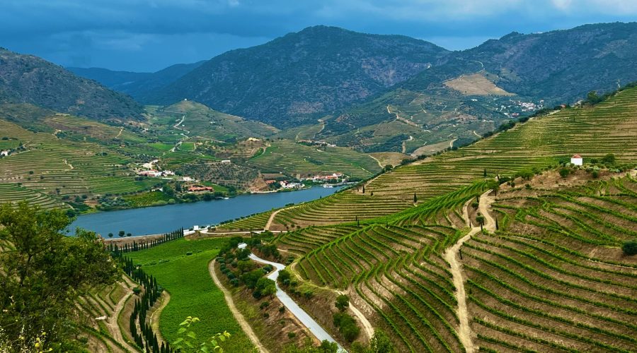 Is Douro Valley Warmer Than Porto?
