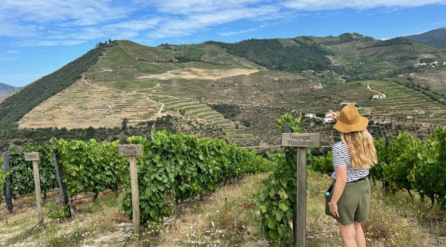Best Wineries In The Douro Valley