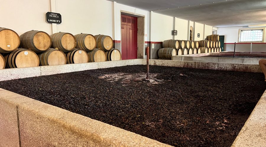 Grape Stomping and Other Harvest Experiences in the Douro Valley