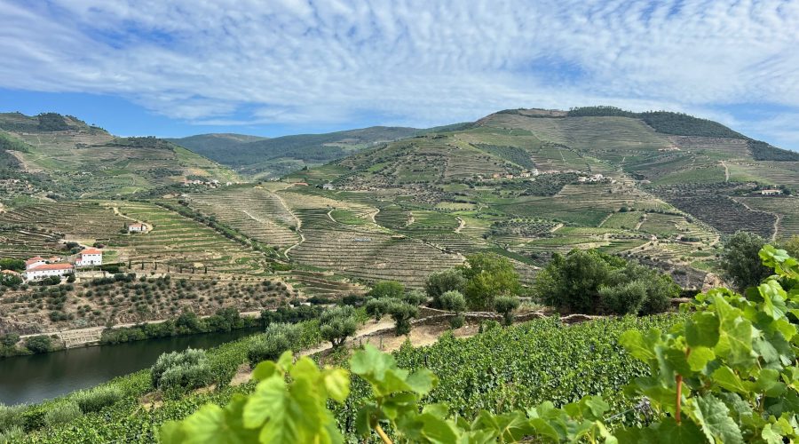 Quinta do Vale Meão